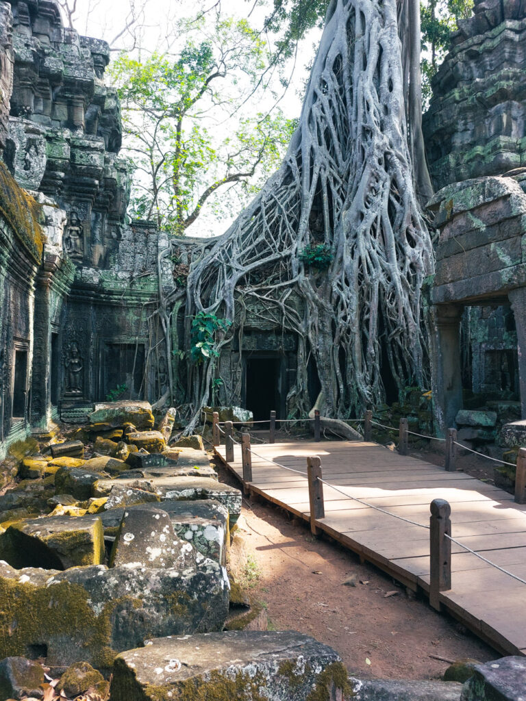 Ta Prohm Temple Angkor Wat