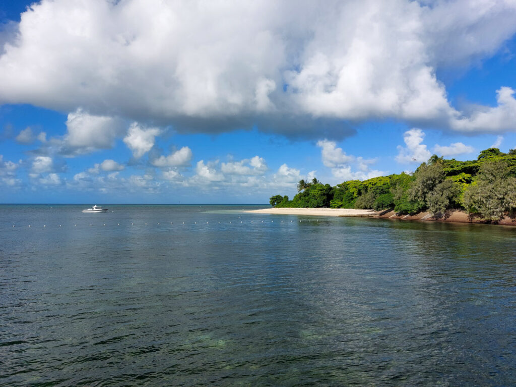 Great Barrier Reef, Cairns , Australia