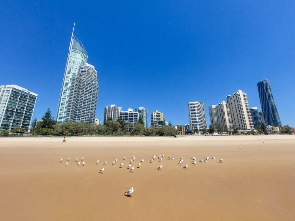 Surfers Paradise Gold Coast