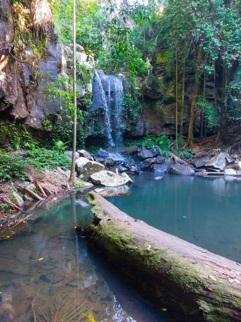 Tamborine Mountain