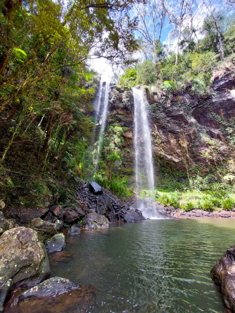 Springbrook National Park