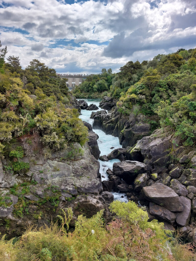 Aratiatia Rapids Taupo New Zealand