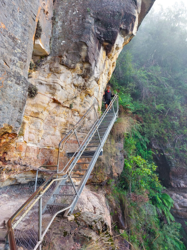 Blue Mountains National Park