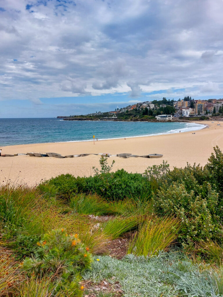 Coogee Bondi Walk Sydney