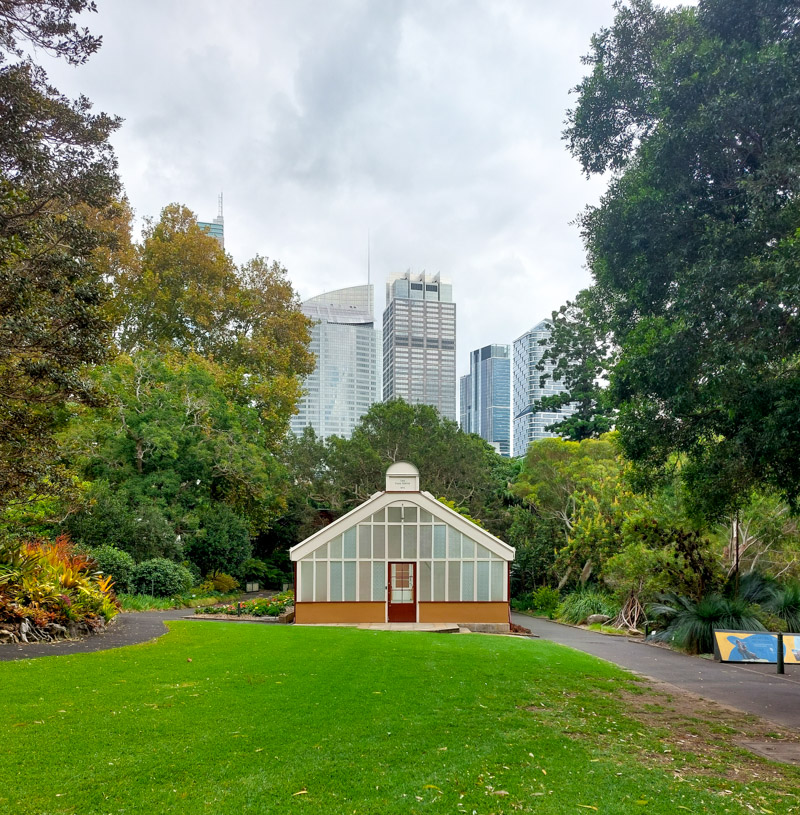 Sydney Botanic Gardens