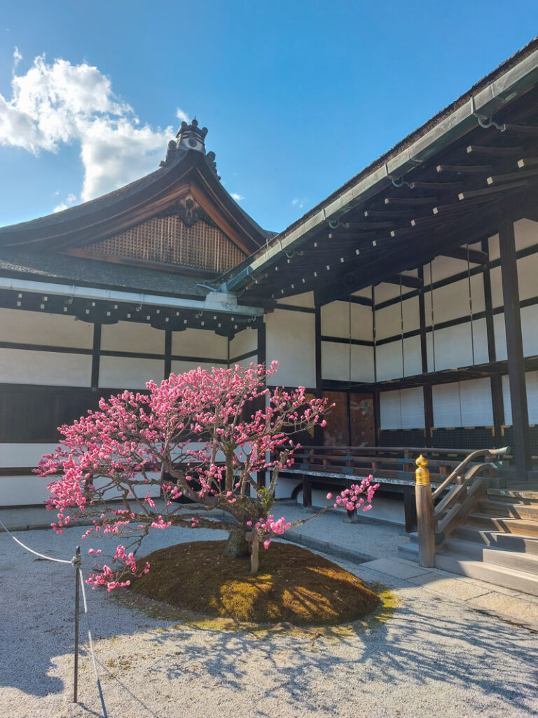Imperial Palace Kyoto
