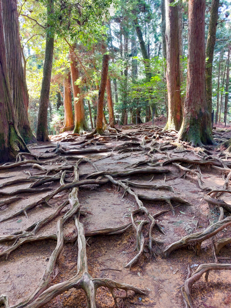 Kurama to Kibune Hike