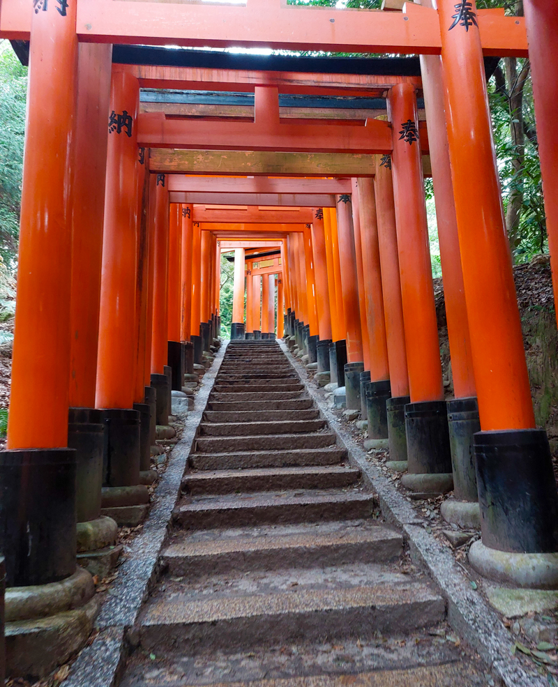 Fushimi Inari red torii gates