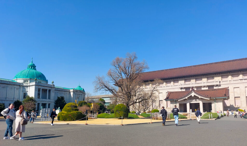 Tokyo Museum