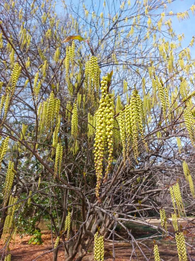 Things to do in Tokyo