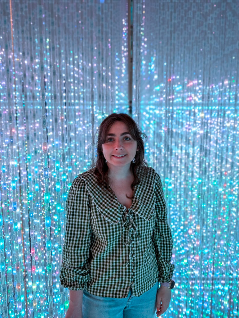 TeamLab Borderless Tokyo