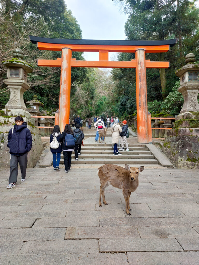 12 Day Japan Itinerary