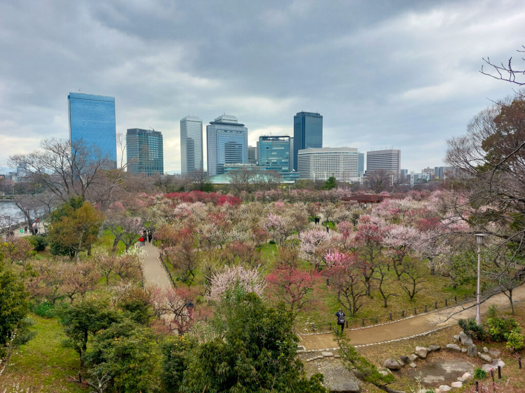 Things to do in Osaka