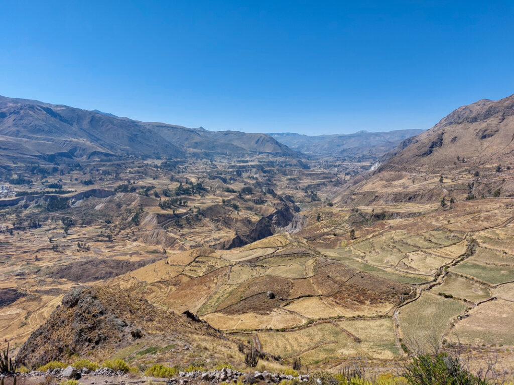 Colca Canyon Peru