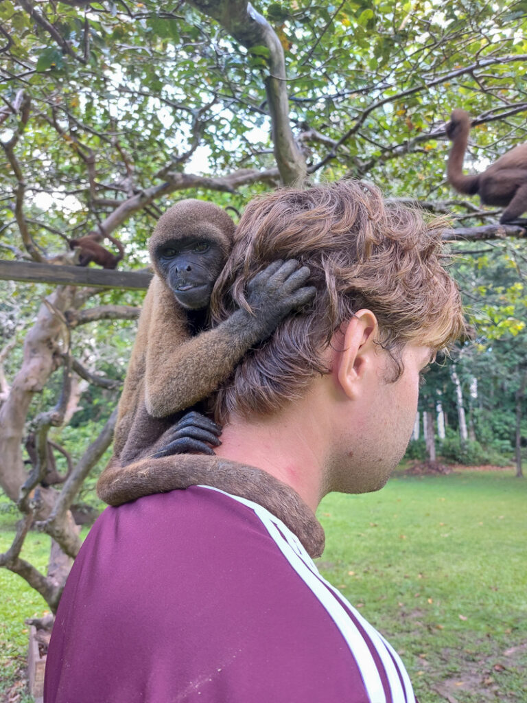 Amazon Rainforest Peru