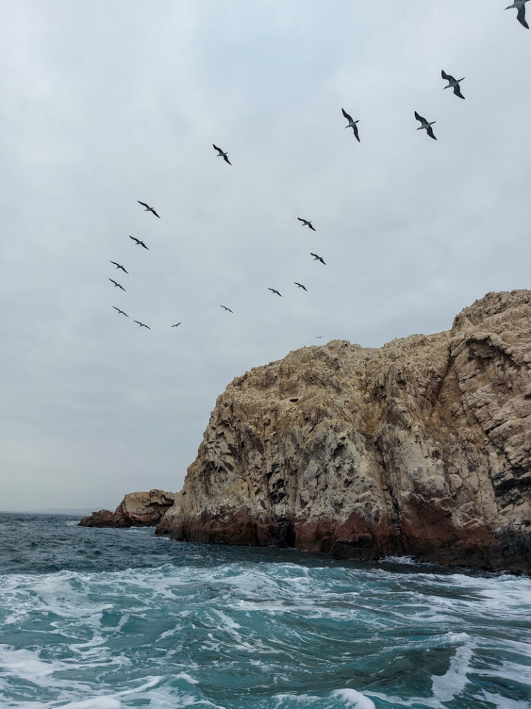 Ballestas Islands Paracas