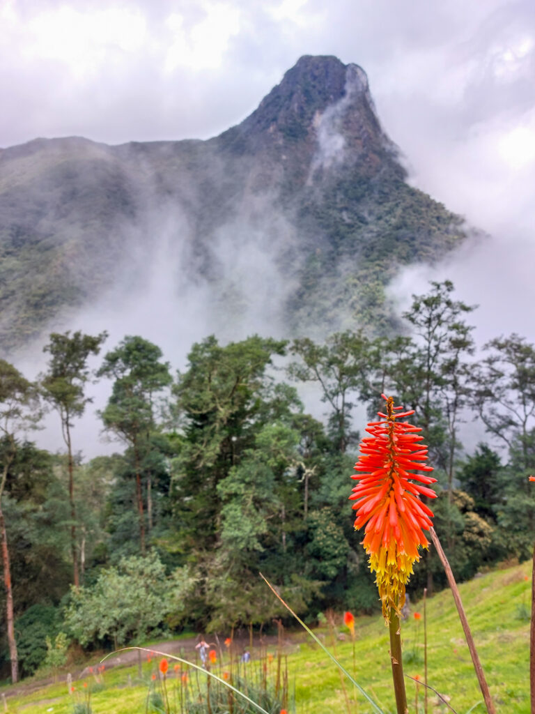 Three Day Salento Itinerary