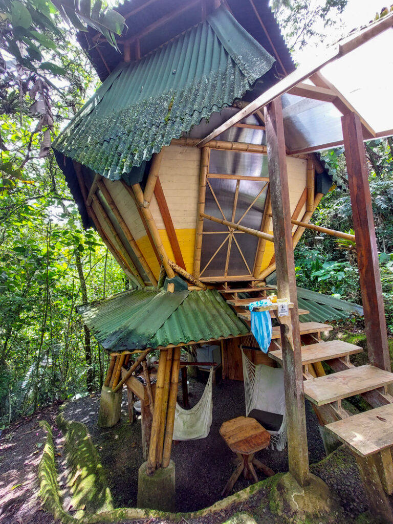 Kasaguadua Reserve Salento